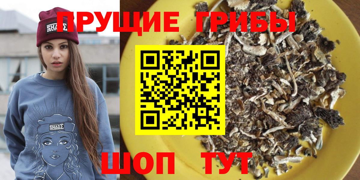 Псилоцибиновые грибы прущие грибы Белгород