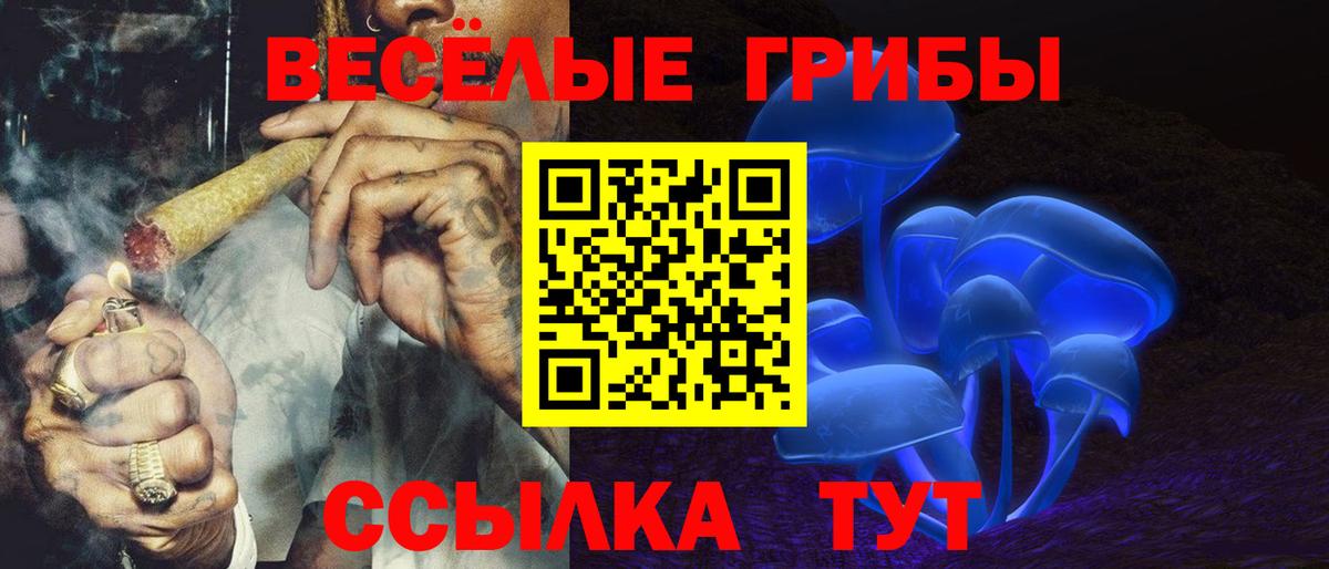 где продают наркотики  Псилоцибиновые грибы мицелий  Вход с VPN  Белгород 